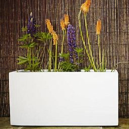 Raised Fiberstone Trough Planter by Idealist Premium JORT