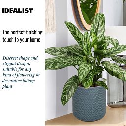 IDEALIST Lite Plaited Style Table and Hanging Cylinder Round Plant Pot Dual Use Indoor Planter