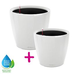 LECHUZA CLASSICO LS Round Poly Resin Self-watering Planter Set