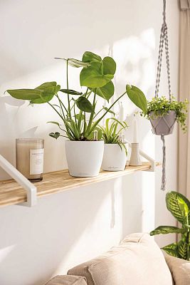 LECHUZA CLASSICO Color Round Poly Resin Self-watering Planter