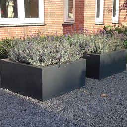 PURE Low Cube Outdoor Fiberglass Planter