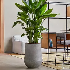 Polystone Planter | Tapered Round Indoor and Outdoor Plant Pot 