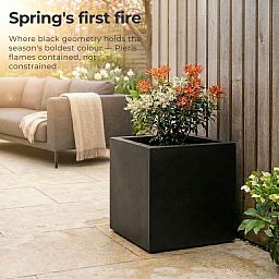IDEALIST Lite Square Box Contemporary Light Concrete Planter