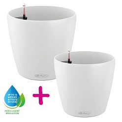 LECHUZA CLASSICO Color Round Poly Resin Self-watering Planter Set