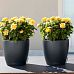 LECHUZA CLASSICO Color Round Poly Resin Self-watering Planter