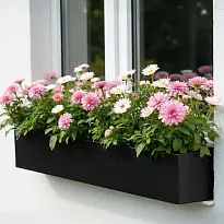 IDEALIST Lite Window Flower Box Garden Planter, Black Light Concrete O...