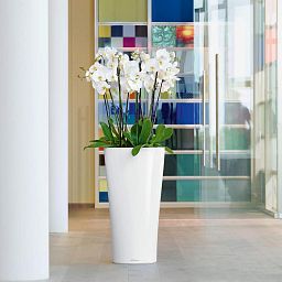 LECHUZA DELTA Round Tall Poly Resin Planter Only