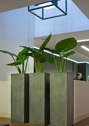 Tall Fiberstone Square Planter by Idealist Premium BOUVY