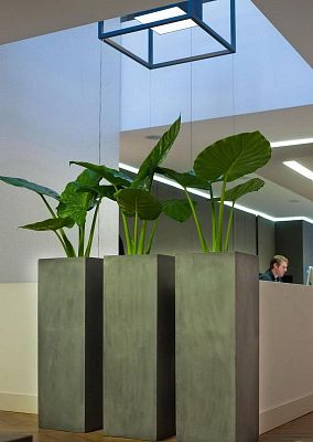 Tall Fiberstone Square Planter by Idealist Premium BOUVY