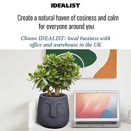 IDEALIST Lite Textured Concrete Effect Oval Indoor Face Pot