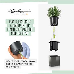 LECHUZA Green Wall Home Kit Glossy Indoor Self-watering Planter