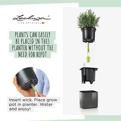 LECHUZA Green Wall Home Kit Glossy Indoor Self-watering Planter