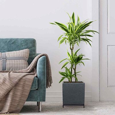 IDEALIST Lite Hammered Stone Style Square Indoor Planter on Metal Stand
