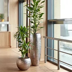 Opus Partner Round Tall Hammered Gold D35 H75 cm Planter (+ liner)