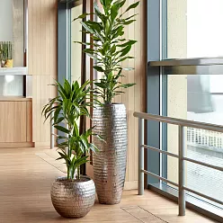 Opus Hammered Polystone Tall Planter + Liner | Round Large Indoor Plant Pot Opus Hammered Polystone Tall Planter + Liner | Round Large Indoor Plant Pot