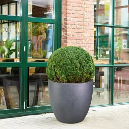 IDEALIST Lite Contemporary Light Concrete Egg Planter