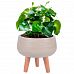 Plaited Style Bowl Indoor Planter on Legs by Idealist Lite