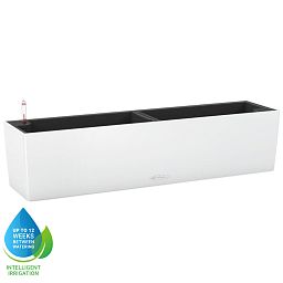 LECHUZA BALCONERA Color Trough Poly Resin Self-watering Planter