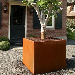 Andes Outdoor Corten Steel Square Planter