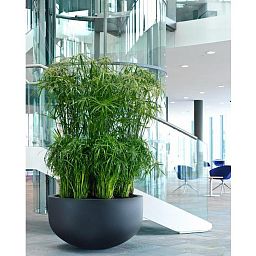 Round Fiberstone City Bowl Planter by Idealist Premium