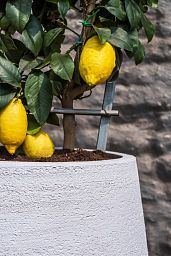 Fibrestone Pax Round Planter by Idealist Premium