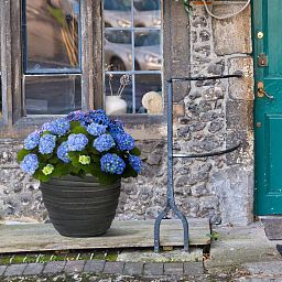 IDEALIST Lite Row Light Concrete Egg Planter