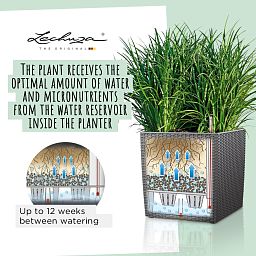 LECHUZA CUBE Cottage Square Poly Resin Self-watering Planter