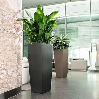 LECHUZA CUBICO ALTO Square Tall Poly Resin Self-watering Planter