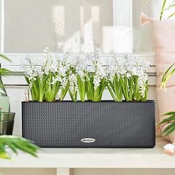 LECHUZA CUBE Color Square Poly Resin Indoor Self-watering Planter Set