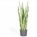 PREMIUM Artificial Flower Plants Sets