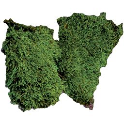 PREMIUM Flat Moss Artificial Moss Plant