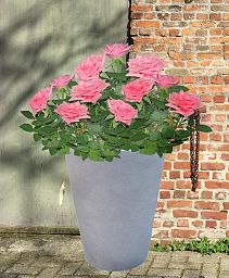 IDEALIST Lite Round Contemporary Light Concrete Planter