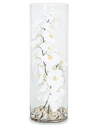 Natural Illusion Glass Vase 75