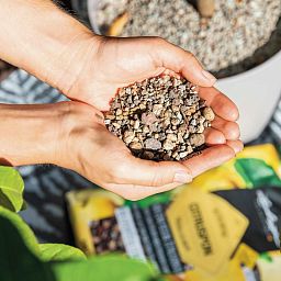 LECHUZA CITRUSPON Pre-fertilized Potting Mix for Citrus Plants Potting Soil Compost