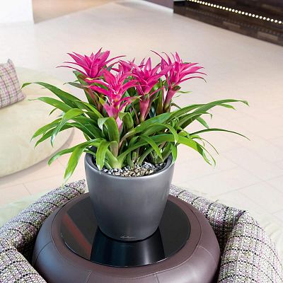 LECHUZA CLASSICO Round Poly Resin Planter Only