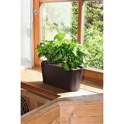 LECHUZA DELTA 10|DELTA 20 Poly Resin Indoor Self-watering Planter