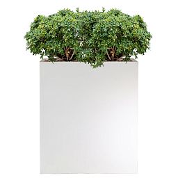 IDEALIST Lite Narrow Contemporary Light Concrete Trough Planter