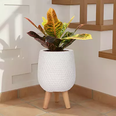 IDEALIST Lite Honeycomb Style Egg Planter on Legs, Round Pot Plant Stand Indoor
