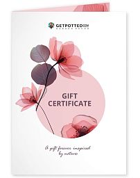 Gift Certificate at Any Price