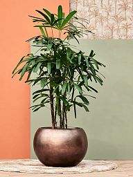 Metallic Couple Round Indoor Planter