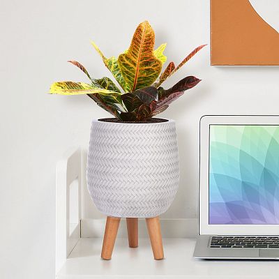 IDEALIST Lite Plaited Style Egg Planter on Legs, Round Pot Plant Stand Indoor