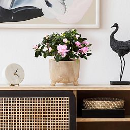 HORTICO GROWER Wooden House Planter with Legs, Indoor Plant Pot Stand with Waterproof Liner