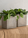 Lukas + Grace Concrete 4 Planters Set by Idealist Premium