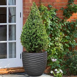 IDEALIST Lite Wave Style Outdoor Egg Planter