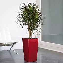 LECHUZA CUBICO Square Tall Poly Resin Self-watering Planter