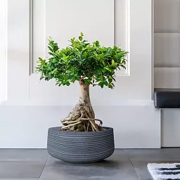 IDEALIST Lite Large Ribbed Light Concrete Bowl Planter