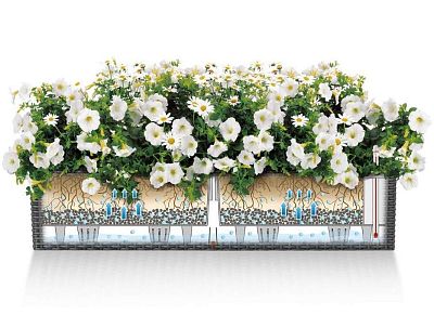 LECHUZA BALCONERA Cottage Trough Poly Resin Self-watering Planter Set