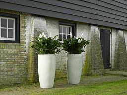 Ceramic Round Tall Matte Planter Pot In/Out