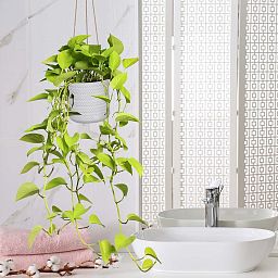IDEALIST Lite Plaited Style Table and Hanging Cylinder Round Plant Pot Dual Use Indoor Planter