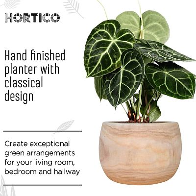 HORTICO ECO Wooden House Planter Round Indoor Plant Pot for House Plants with Waterproof Liner